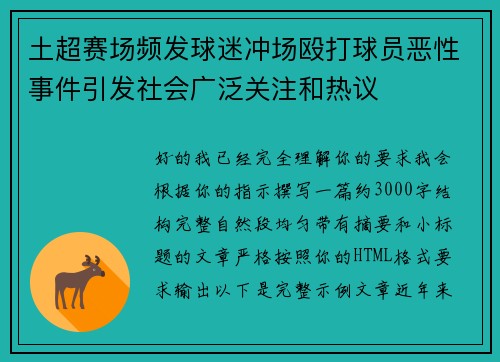 土超赛场频发球迷冲场殴打球员恶性事件引发社会广泛关注和热议 土超赛场频发球迷冲场殴打球员恶性事件引发社会广泛关注和热议